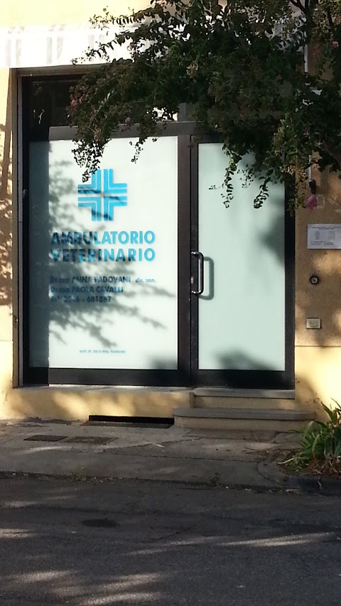 Ambulatorio veterinario Padovani-Cavalli