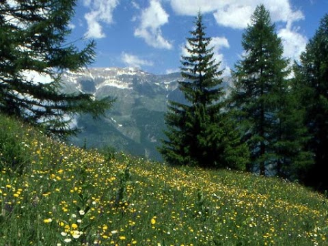 Parco naturale del Gran Bosco di Salbertrand