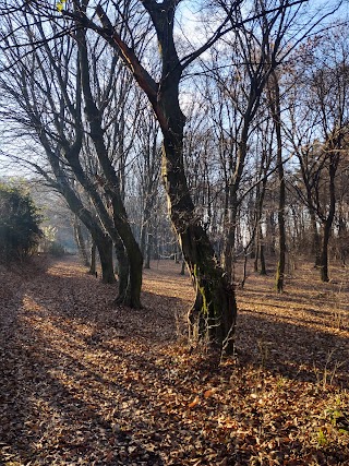 Parco Regionale della Pineta di Appiano Gentile e Tradate