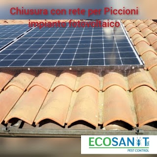 ALLONTANAMENTO PICCIONI MILANO- ECOSANIT