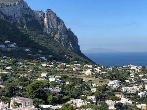 Limoncello di Capri