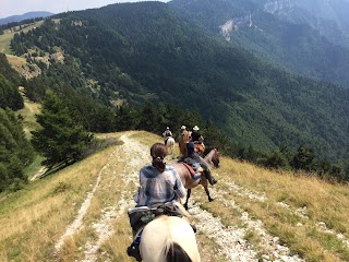 Centro Equestre Il Salice - Sede Estiva (Luglio/Agosto)