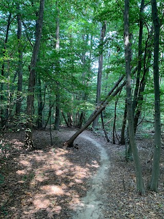 Parco Forestale Del Roero