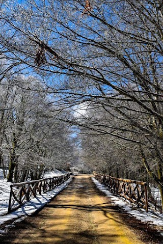 Parco Naturale Regionale dei Nebrodi