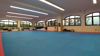 Palestra kung fu K'un Ch'ien