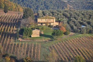 Azienda Agricola Terre Di Melazzano - Le Case di Chiara