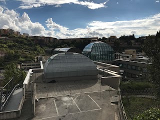 Università degli Studi della Basilicata