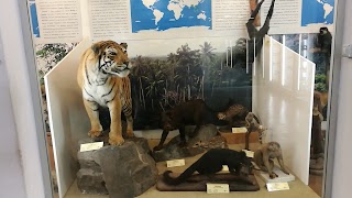 Museo di Zoologia dell'Università di Catania