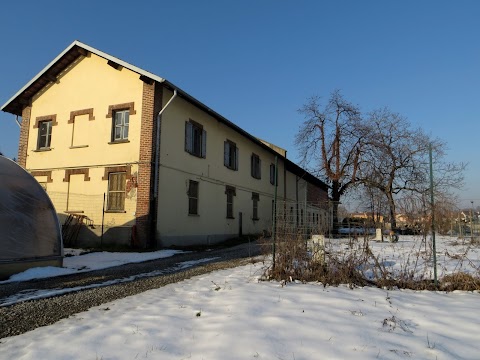 Istituto Istruzione Superiore Statale "Luigi Castiglioni"