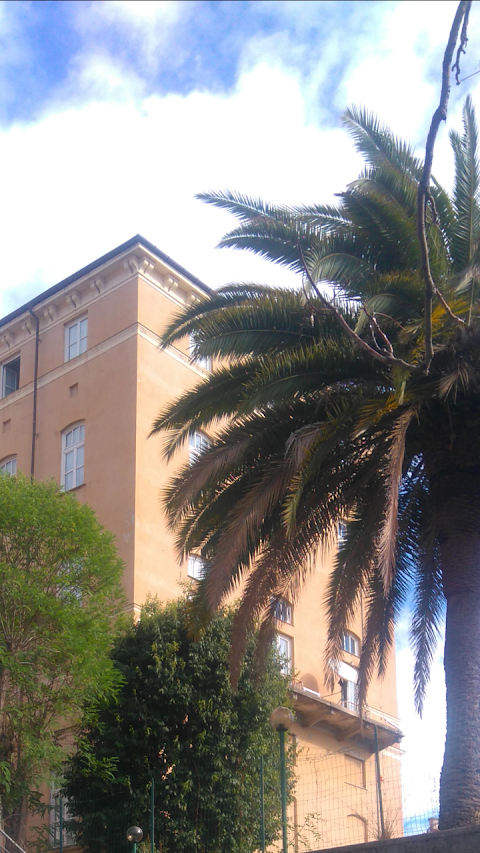 Liceo Statale Giuliano della Rovere