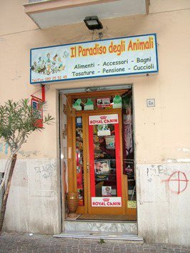 Il Paradiso Degli Animali