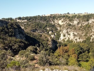 NCC Servizi turistici val di Noto