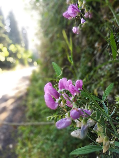 Agriturismo Fuccioli II