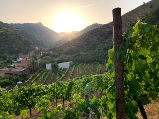 Cantine Bonfiglio