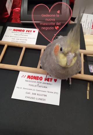 MONDO PET