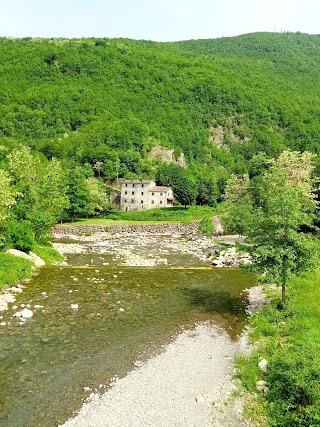 IL LIDO Fanano - Laghetto di pesca sportiva, bar, ristorante