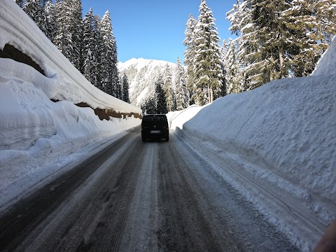 Ingo Viaggi Dolomiti Transfer