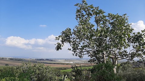 Masseria Marico