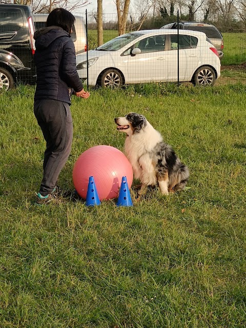 Rebel Dog Centro Cinofilo Asd