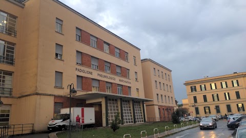 Azienda Ospedaliera San Camillo Forlanini