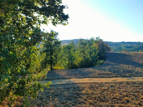 Agriturismo Il casale tosco-emiliano