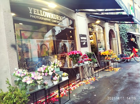 Frida's Milano - corso Genova | Italian Flower Stores