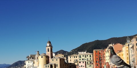 Camogli Case Camogli