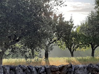 La Grande Bellezza Trulli