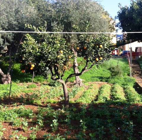 Scuola dell'Infanzia Paritaria e Asilo Nido San Pio X