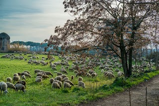 Shop Parco Appia Antica