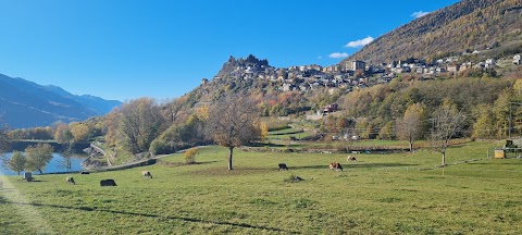 Casa vacanze TERRAZZO SULLE ALPI