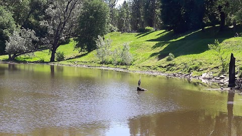 Laghetto del Parco Lambro