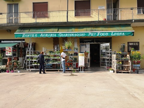 Zentile Agraria Sas Di Marchiori Francesco