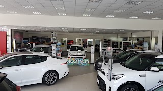 CONCESSIONARIO KIA MOTORS PICCIONI SRL