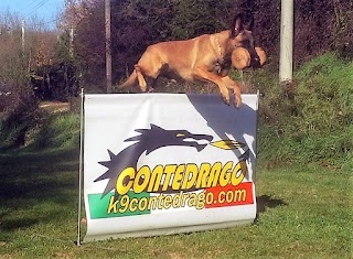 K9 ConteDrago Training Field