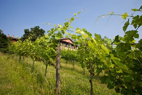 Agriturismo Fattoria Quercia