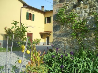 B&B Il Giglio Etrusco