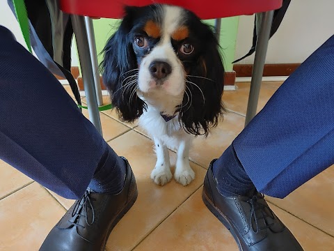 Ambulatorio Veterinario Giardino di Roma