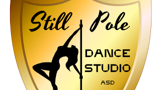 Still Pole Dance Studio