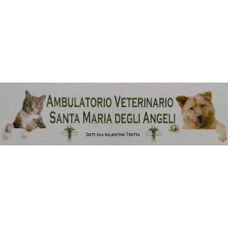 Ambulatorio Veterinario Santa Maria Degli Angeli