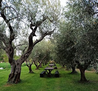 Fattoria Poggio Nebbia - Agriturismo