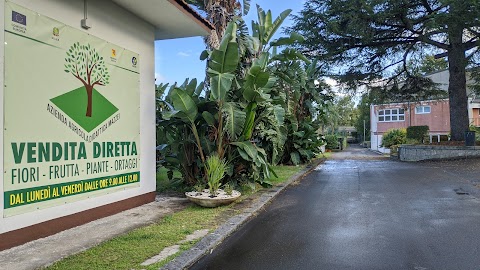 Istituto Professionale di Stato per l'Agricoltura A. Mazzei