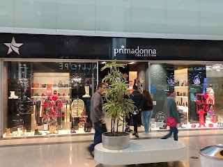 Primadonna Collection