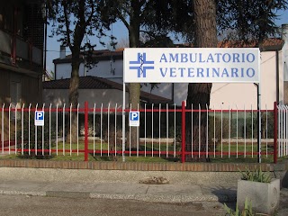 Ambulatorio Veterinario Dott. Samuele Carli