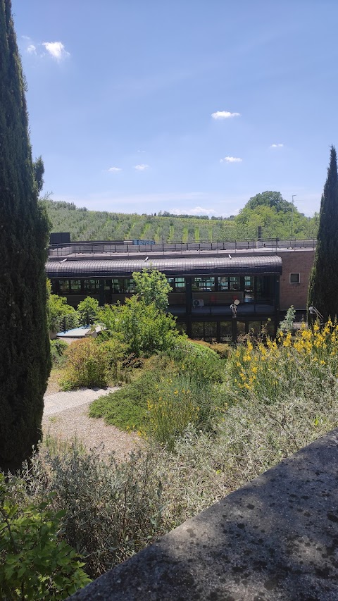 Piscina e Palestra del Chianti