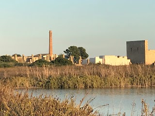 Siracusa Tour Experience - Siracusa guida naturalistica