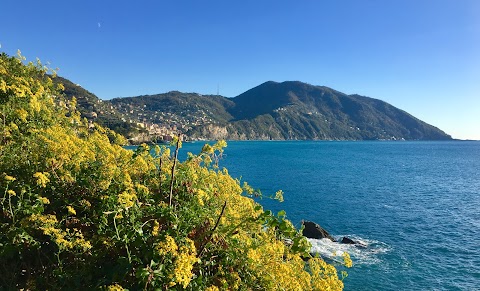 Piscina Comunale di Punta Sant'Anna