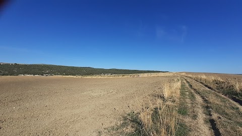 Centro visite di Pianelle, Montescaglioso (MT)