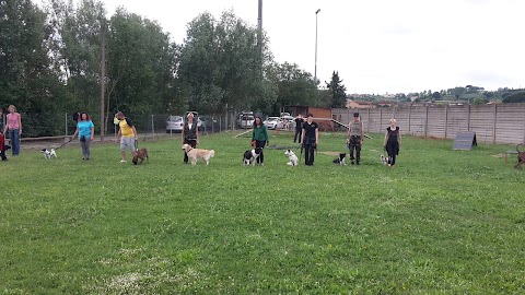 Centro Cinofilo DobreDog - Pisa