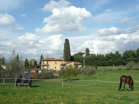 A.S.D Centro Ippico Scandicci